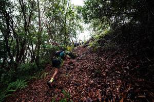 BIB: 
                            <button type="button" onclick="openModal(26201146)" class="btn btn-primary btn-sm float-right btn-popup" data-toggle="modal" data-target=".modal-high-quality">
                        <i class="fas fa-shopping-cart"></i> Add to Cart
                    </button>
                                            <button type="button" onclick="isThisMe(26201146, true)" class="btn btn-success btn-sm float-right btn-popup btn-isme hidden" data-toggle="tooltip" data-placement="bottom" title="นี่คือรูปของคุณใช่ไหม คลิกที่นี่เพื่อเอาเข้าอัลบั้ม">
                        <i class="fas fa-plus"></i> Add to album
                    </button>
                    <button type="button" onclick="isThisMe(26201146, false)" class="btn btn-warning btn-sm float-right btn-popup btn-isnotme hidden">
                        <i class="fas fa-ban"></i> Remove from album
                    </button>